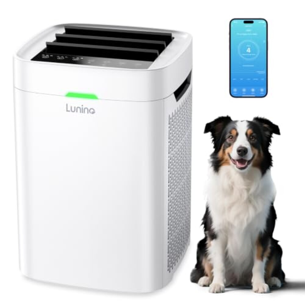 Air Purifiers for Home Large Room up to