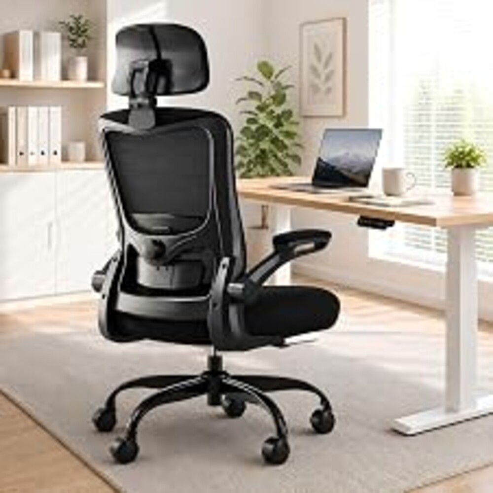 Ergonomic Office Chair for Long Hours, Adjustable Padded Lumbar Support for Lower Back Relief, 330 lb Capacity, Comfortable Computer Desk Chair for Home Office, Work & Study
