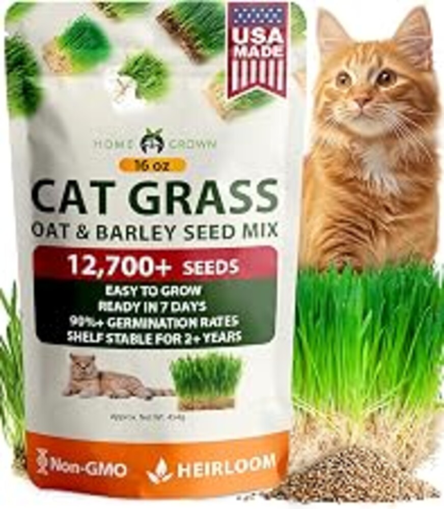 HOME GROWN Cat Grass Seeds, Oat & Barley Mix, 1 lb, 12,700+ Seeds | High Germination, Heirloom, Non-GMO | 12,700+ Seeds | 1 lb Bulk Pack | Oat & Barley Mix | Indoor Pet Garden | Cat Grass