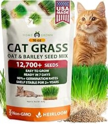 HOME GROWN Cat Grass Seeds, Oat & Barley Mix, 1 lb, 12,700+ Seeds | High Germination, Heirloom, Non-GMO | 12,700+ Seeds | 1 lb Bulk Pack | Oat & Barley Mix | Indoor Pet Garden | Cat Grass