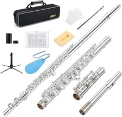 Eastar 16-Key Closed Hole C Flute Advanced Upgraded Silver Full Kit, EFL-1S