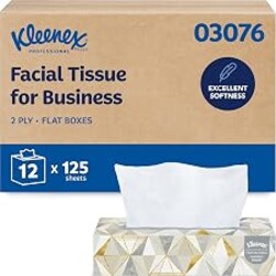 Kleenex Professional Facial Tissue, Bulk, 12 Boxes x 125 Tissues (03076) | Flat Tissue Boxes, 2-Ply, Soft & Strong, Convenience Case, Premium Tier