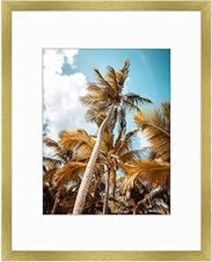 Frametory 16x20 Gold Picture Frame with Real Glass Mat for 11x14 | High Definition Glass, Wide Molding - Preinstalled Wall Mounting Hardware, Perfect for Home Decorate