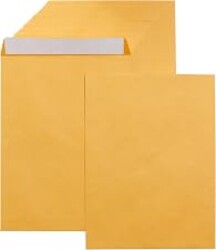 Amazon Basics Catalog Self Seal Mailing Envelopes for Documents, Peel and Seal, 9" x 12", Brown Kraft, 250-Pack