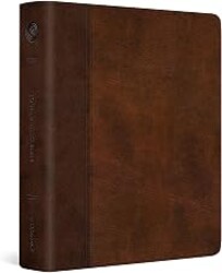 ESV Journaling Bible, Red Letter (TruTone, Brown/Tan, Timeless Design): Holy Bible, English Standard Version