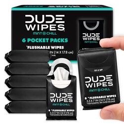 DUDE Wipes Mint Chill Pocket Packs, Adul