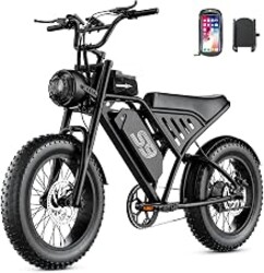 ASKGO S9 Electric Bike for Adults, 2500W Peak Electric Dirt Bike, 28MPH 65Miles E Bike with 48V 20AH Removable Battery, 16" Fat Tire All-Terrain Ebike with NFC Unlock & Cruise Control