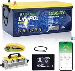 LOSSIGY 48V Lithium Battery Golf Cart Conversion Kit with Charger&Monitor | 100AH Deep Cycle LiFePO4 Battery 5.12Kwh Built in 200A Bluetooth BMS Peak Current 1000A(3-5s) Prefect for Solar System RV
