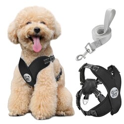 Pawaboo Small Dog Harness and Leash Set,
