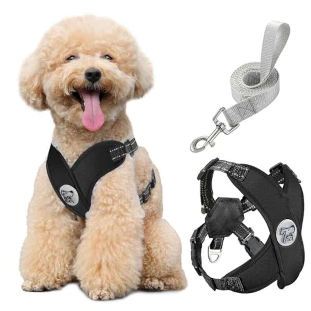 Pawaboo Small Dog Harness and Leash Set,