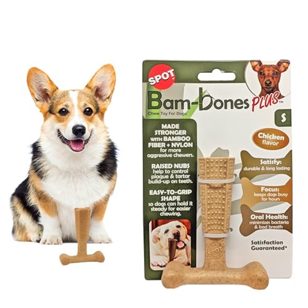 SPOT Bam-Bones Plus T-Bone Dog Chew, Chi