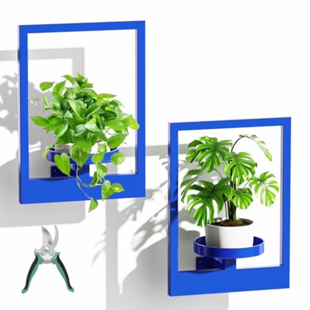 ALACOO Wall Plant Shelf, Hanging Frame D