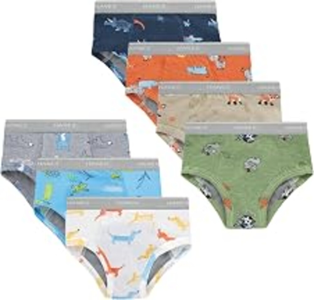 Hanes Boys' Potty Training Underwear, Light Leaks Toddler Cotton Briefs and Boxer Briefs, Multi-pack