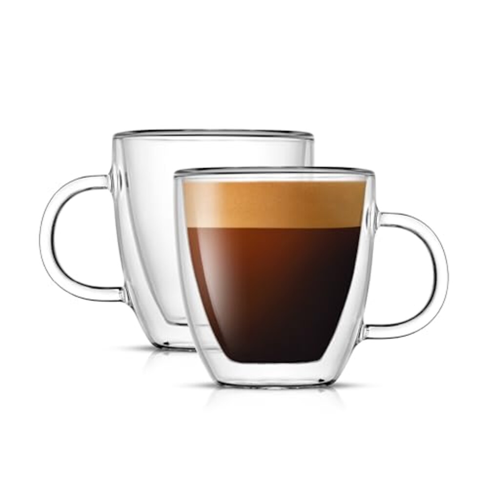 JoyJolt Savor Double Wall Insulated Glas
