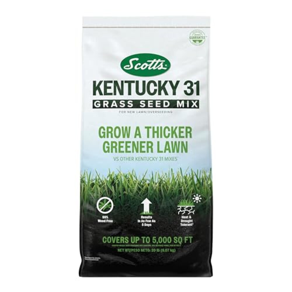 Scotts Kentucky 31 Grass Seed Mix, 20 lb