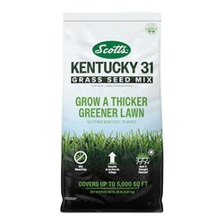 Scotts Kentucky 31 Grass Seed Mix, 20 lb