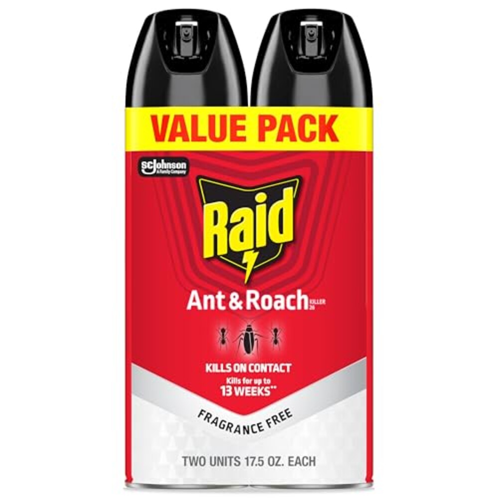 Raid Ant & Roach Killer Bug Spray, Fragr