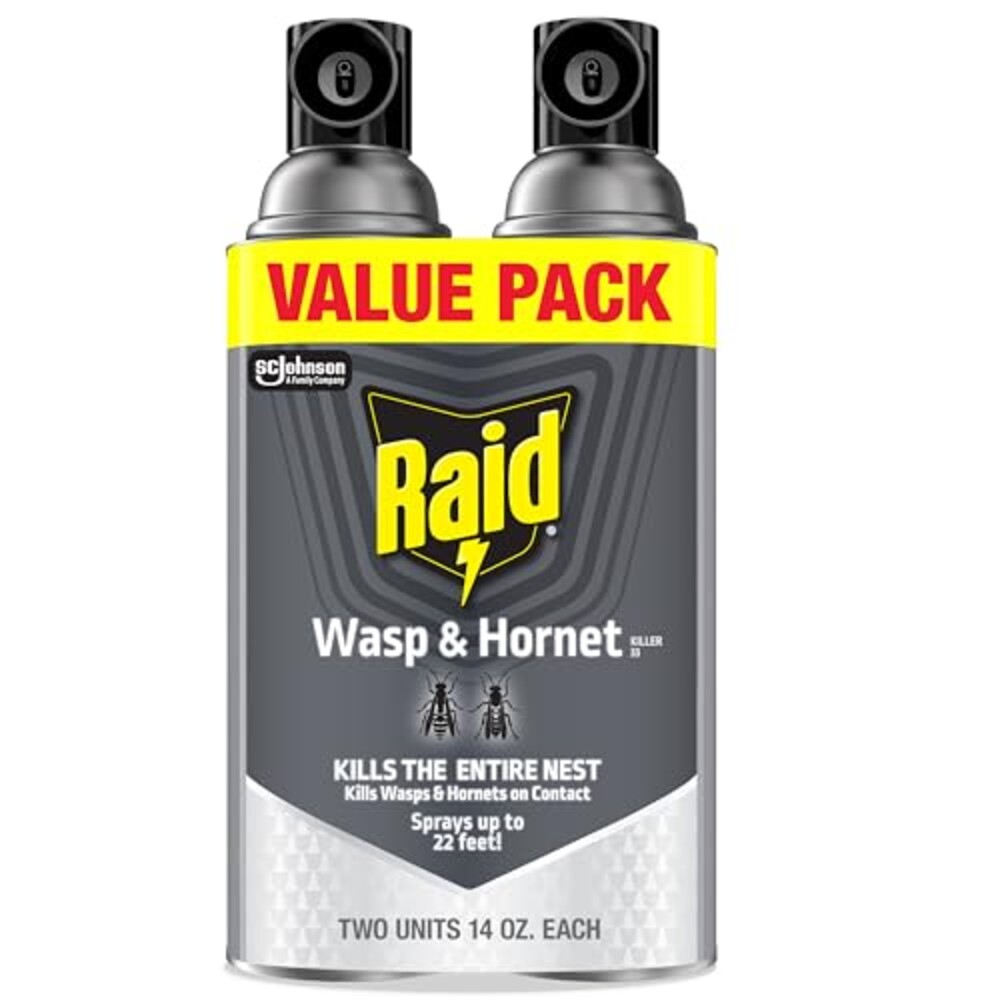Raid Wasp & Hornet Killer Bug Spray, Kil