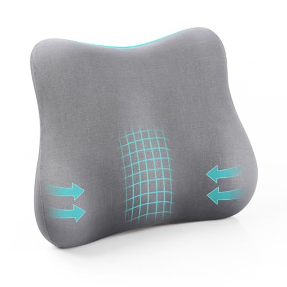 Cozyhealth Lumbar Support Pillow for Off