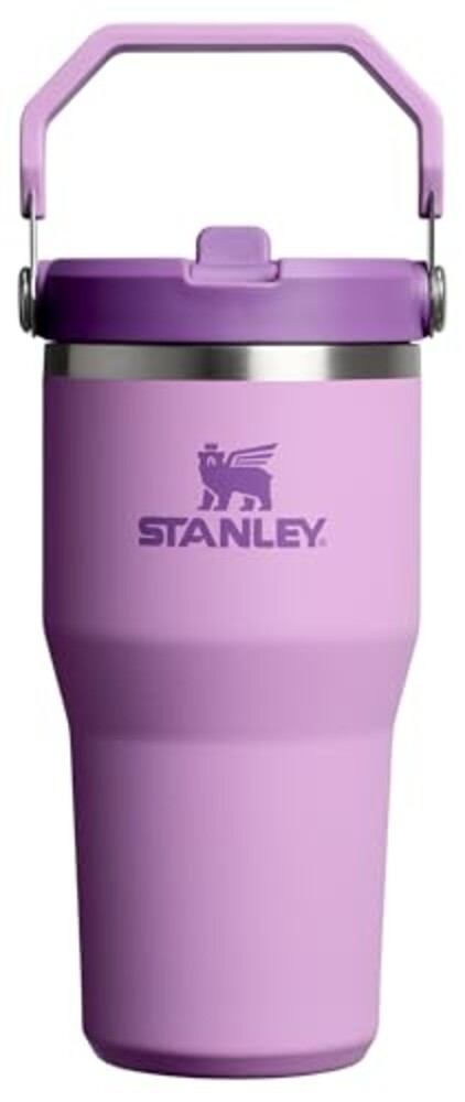 STANLEY IceFlow 2.0 Flip Straw Tumbler,