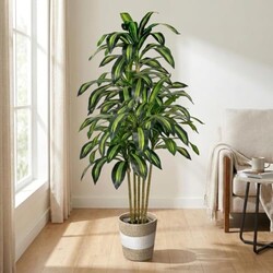 LuceAlberi Artificial Dracaena Tree 5FT