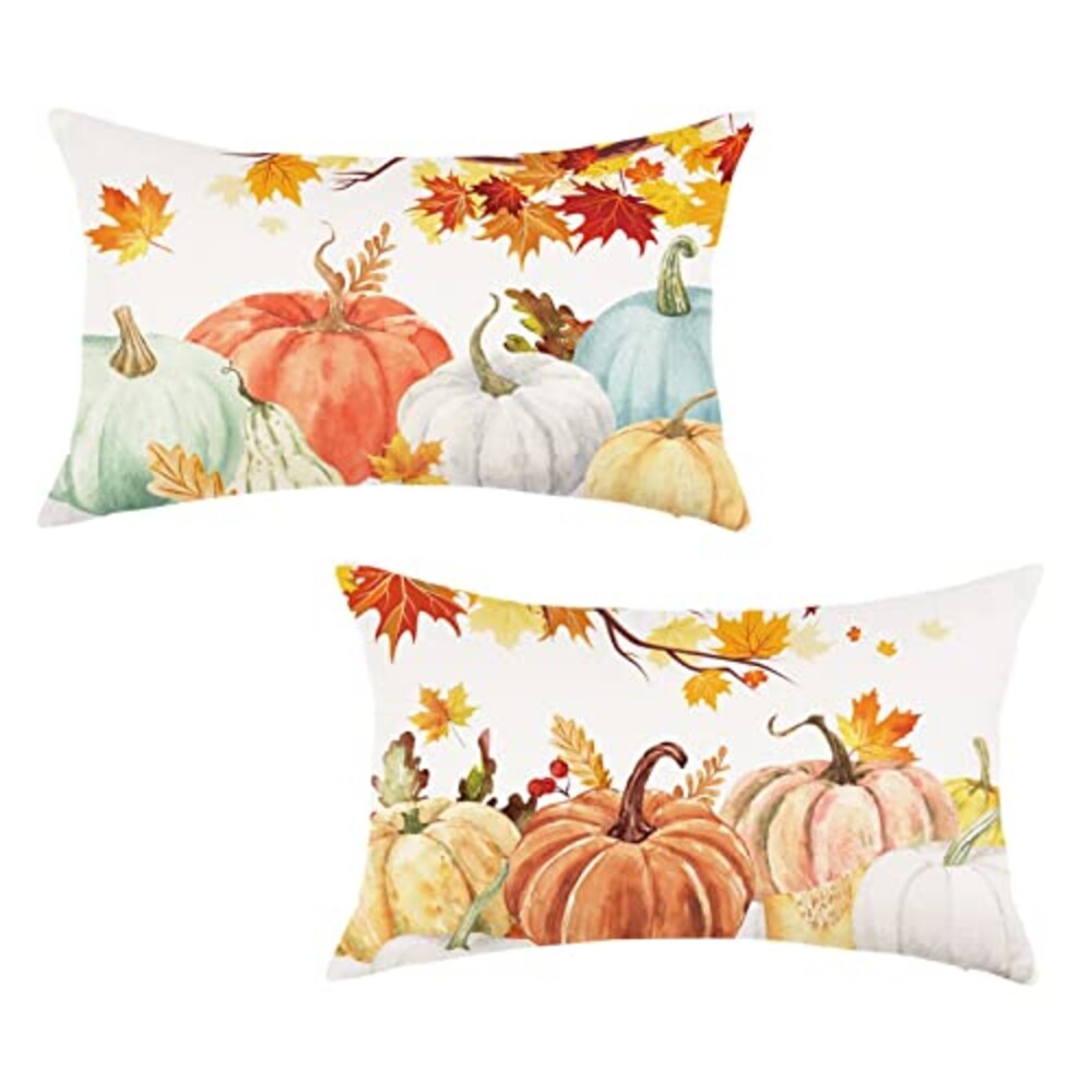 ONWAY Fall Pumpkins Pillow Covers 12x20