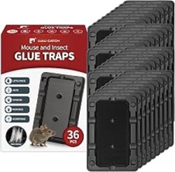 LULUCATCH Mouse & Insect Traps 36 Pack, Heavier Sticky Traps with Non-Toxic Glue for Small Mice & Insects. Sticky Mouse Traps Indoor for Home, Easy to Set