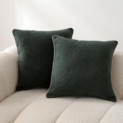 Amazon Basics Boucle Throw Pillow Covers for Couch, Living Room, Home Decor with Hidden Zipper, Green, 20×20in, Pack of 2