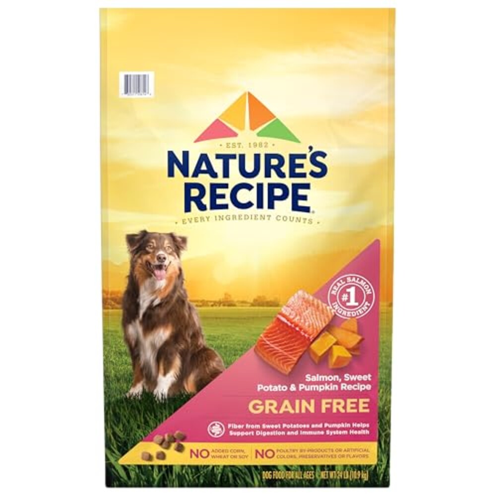 Nature's Recipe Grain Free Salmon Dry Do