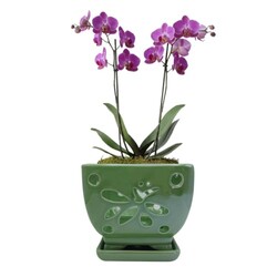Orchid Pots with Holes Ceramic Orchid Pl