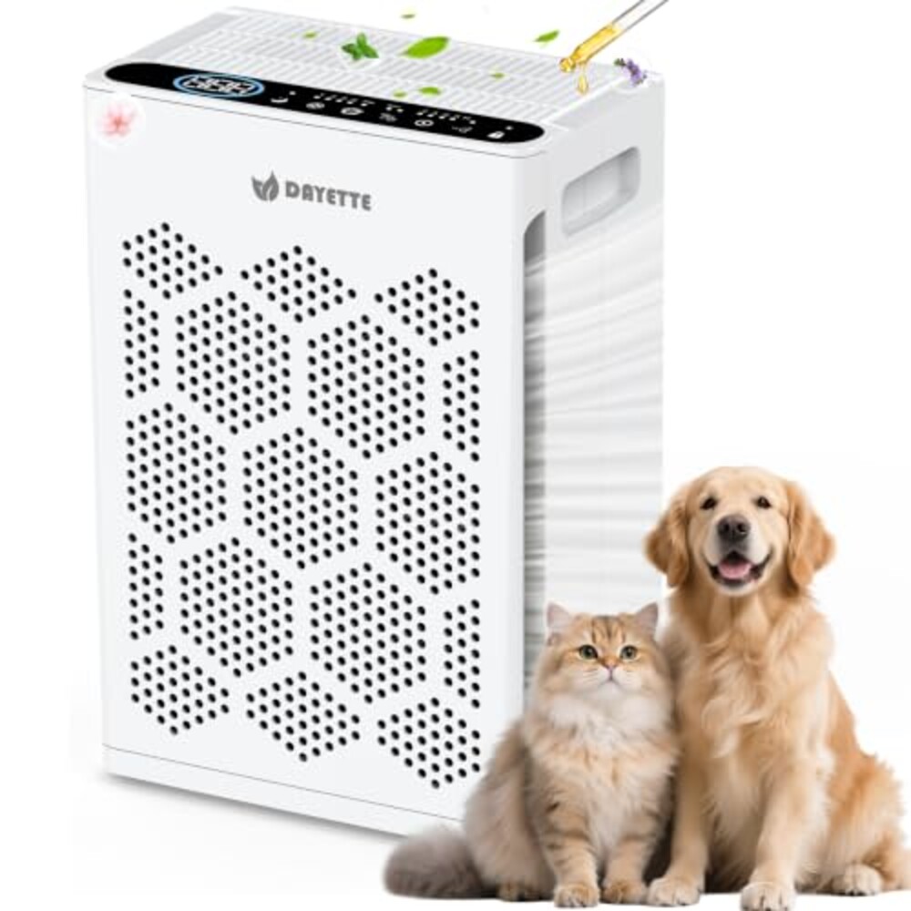 DAYETTE Air Purifiers for Home Large Roo