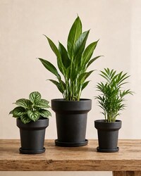 Bamworld Plant Pots Indoor with Drainage