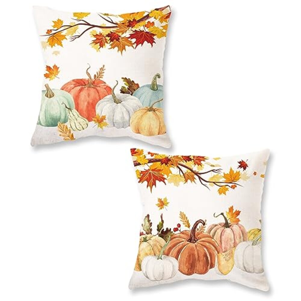 ONWAY Fall Pumpkins Pillow Covers 16x16