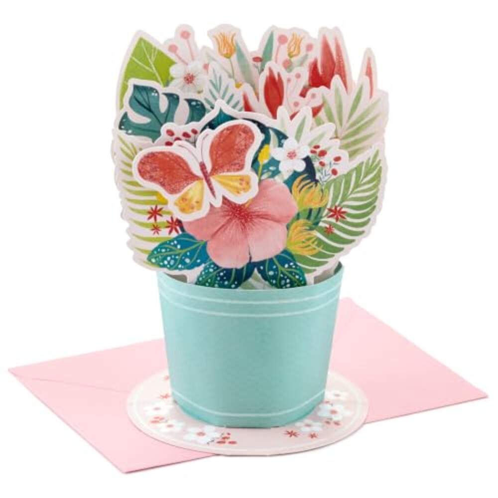 Hallmark Paper Wonder Pop Up Card (Tropi