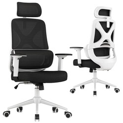 Apusen Mesh Ergonomic Office Chair with