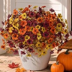 HyeFlora Artificial Fall Flowers Faux Mums, 3 Color Mixed, 12 Bundles | Outdoor Indoor Use, Daisy with Eucalyptus Leaves, Fake Mums Plants Greenery Boxwood, Garden Home Porch Patio Decoration