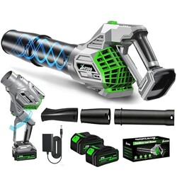 DAPZIOO Cordless Leaf Blower, 810 CFM, 2