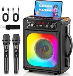 HWWR Karaoke Machine with 2 Mics for Adults & Kids, Stage Subwoofers Set | DSP Vocal Tuning, Feedback-Free Mics, Support Karaoke Mode/Mic Priority, 24H+Use, Disco Lights, for Stage Subwoofers