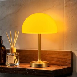 Shower Lamp Rechargeable Waterproof Lamp