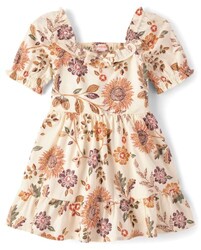 Gymboree,Girls,and Toddler Ruffle Dresse