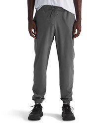 The North Face Men's Paramount Jogger, S