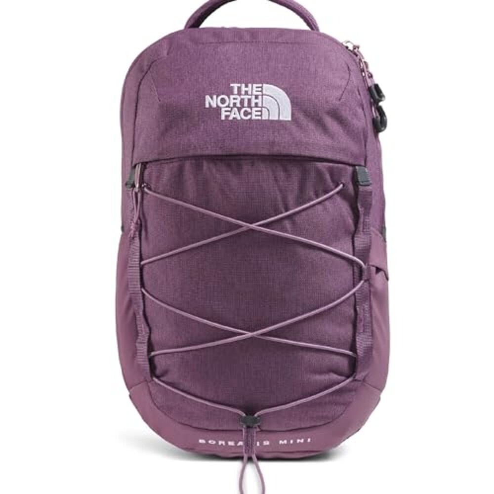 The North Face Borealis Mini Backpack, C