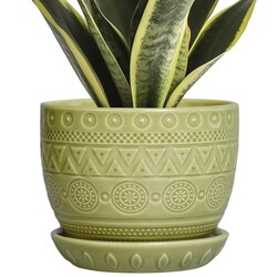 G EPGardening Ceramic Plant Pot, 5.5 Inc