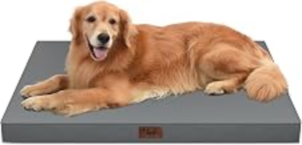 Tail Stories Waterproof Orthopedic Outdoor Dog Bed XL for Extra Large Dogs | Egg Crate Foam for Joint Support, TPU Waterproof Layer, Machine Washable 1680D Oxford Cover, 44 x 32 Inch, Up to 90 lbs