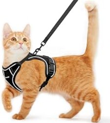 Cat Harness and Leash for Walking Escape Proof Soft Adjustable Cat Leash | Breathable Comfortable Vest Easy to Wear Kitten Harness for Outdoor Travel (Black, S (7-12lb))