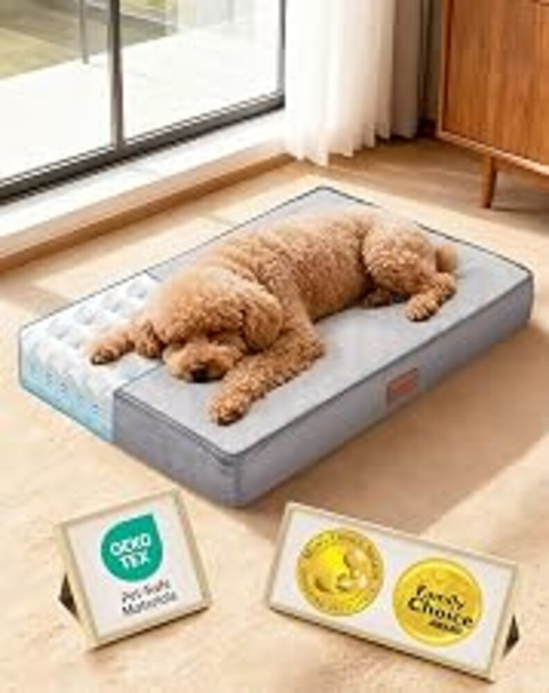 OhGeni Orthopedic Small Dog Bed, Reversible Memory Foam, 24 inch-S(Gray) | Waterproof Top Layer with Machine-Washable Removable Cover in Easy-Clean Fabric, Easy-Carry Handle, Suitable for Crate