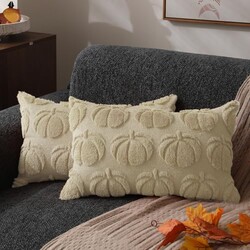 DFXSZ Fall Pillow Covers 12x20 2Pcs Beig