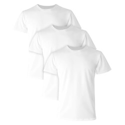 Hanes Ultimate Men's Undershirts T-Shirt