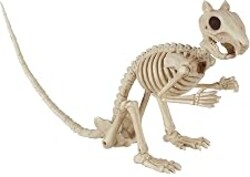 Crazy Bonez Skeleton Squirrel – 7" Halloween Skeleton Animal Decoration | with Bendable Tail, Durable All-Weather Plastic, Realistic Bone Detail for Indoor Outdoor Spooky Décor and Garden Displays