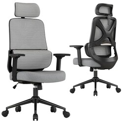 Apusen High Back Ergonomic Desk Chair wi